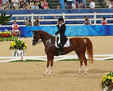 Sur une carrière de dressage, un cavalier en redingote et son cheval alezan son arrêtés et présentent leur profil gauche ; le cavalier tire son chapeau ; le cheval a l'encolure trempée d'écume.