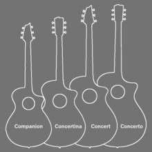 Breedlove Guitar Body Shapes as of 2021