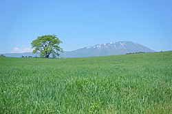 View of Mount Iwate from Koiwai farm park