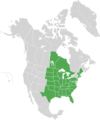 Map of North America with green shading. Data source Brouillet et.al., Flora of North America