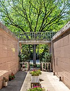 Ash tree behind a columbarium in Mount Auburn Cemetery, Cambridge, Massachusetts