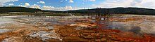 Photographie une zone de sources chaudes devant une étendue forestière.