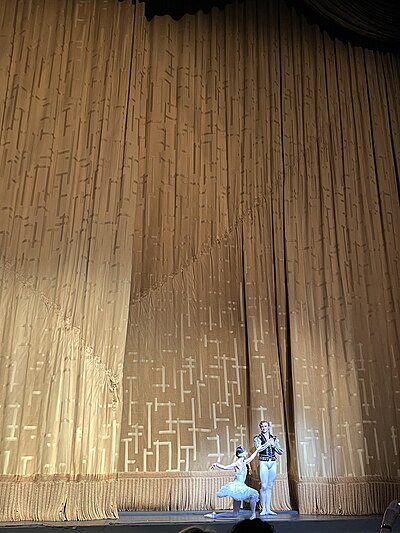 A curtain call for Hee Seo and Aran Bell after performing Swan Lake at the Metropolitan Opera House in 2022