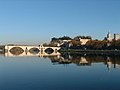 Le pont d'Avignon depuis l'île de la Barthelasse