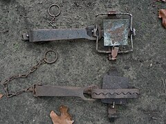 العربية: أفخاخ ثعالب غير شرعيّة Català: Trampes (d'ús regulat a molts països) English: Illegal fox clamps Français : Pièges à mâchoires illégaux