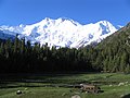 Utsikt mot Nanga Parbat med barskog i forgrunnen.