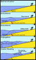 Tsunami schema