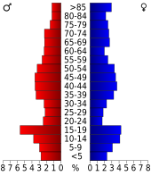 Bevolkingspiramide Mitchell County