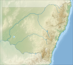 Allyn River Member is located in New South Wales