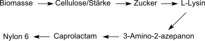 Abbau von Biomasse über Aminocaprolactam zu Nylon 6