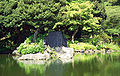 A large flat rock on an island in Korakuen garden in Tokyo, which represents a turtle's head