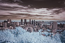 A view in infrared of Montréal as seen from Mont Royal, taken with filter made of a floppy disk