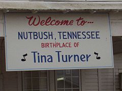 Nutbush tennessee sign tina turner.jpg