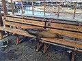 Image 9Adult Galápagos sea lion resting on a park bench in Puerto Baquerizo Moreno (from Galápagos Islands)