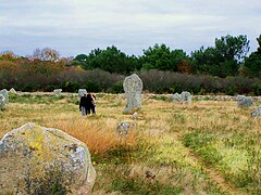 Stones in The Ménec alignments