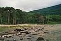 Lakes of Killarney