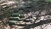 Remains of stairs from the house of Hermann Göring in 2019