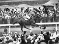 Image 19Phar Lap winning the Melbourne Cup, "the race that stops a nation" (from Culture of Australia)