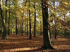 Sutton Coldfield Park