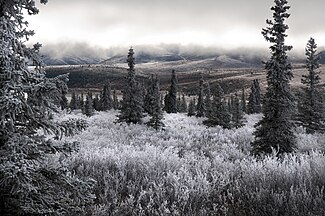 Alaska Range