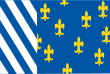 Vlag van de gemeente Bellingwedde