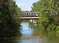 North branch (Albany Park)