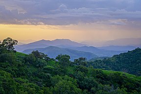 Mambilla-Plateau