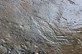 Low relief rock art in a limestone pavement 3