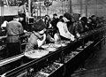 Image 21Ford assembly line, 1913. The magneto assembly line was the first. (from History of technology)