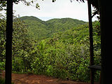 The Vallée de Mai on Praslin Island.