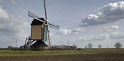 Windmill near Overasselt