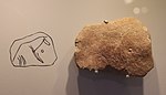 Carving of a horse, Hayonim Cave, 40,000-18,500 BP. Israel Museum.[7][8][9][6]