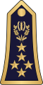 Général d'armée (Burkina Faso Army)[7]