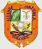 Coat of arms of Allende Municipality