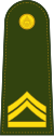 Master Sergeant 2nd Class