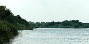 Rio Grande c. 4.8 kilometres (3 mi) southeast of Falcon Reservoir, Municipality of Mier, Tamaulipas, Mexico (August 2007)