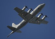 P-3C 機体下部 主翼後方の機体下面にある多数の孔はソノブイの投下口