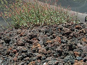 Etna's extrusive igneous rock