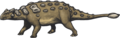 Ankylosaurus