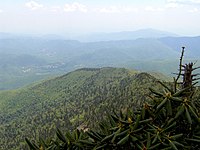 The South Toe Valley, viewed from the summit of Balsam Cone