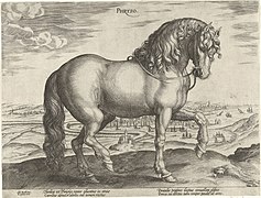 Gravure de Frison par Jan van der Straet (1523-1607)