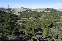 Circo y cima de Peñalara.