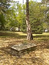 Eutaw Springs Battleground Park