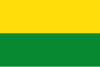 Flag of Angostura, Antioquia