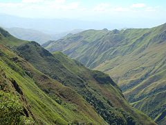 vallées d'Aragua.