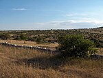 Grassy landscape with a dry stone wall