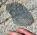 Gabbroic xenolith in a granite; eastern Sierra Nevada, Rock Creek Canyon, California.