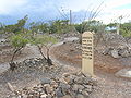 Alleged grave of John Wesley Heath