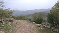 Image 9Iranian oak scrub in the Zagros Mountains (from Montane ecosystems)