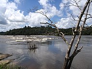 Parque Nacional Montanhas do Tumucumaque